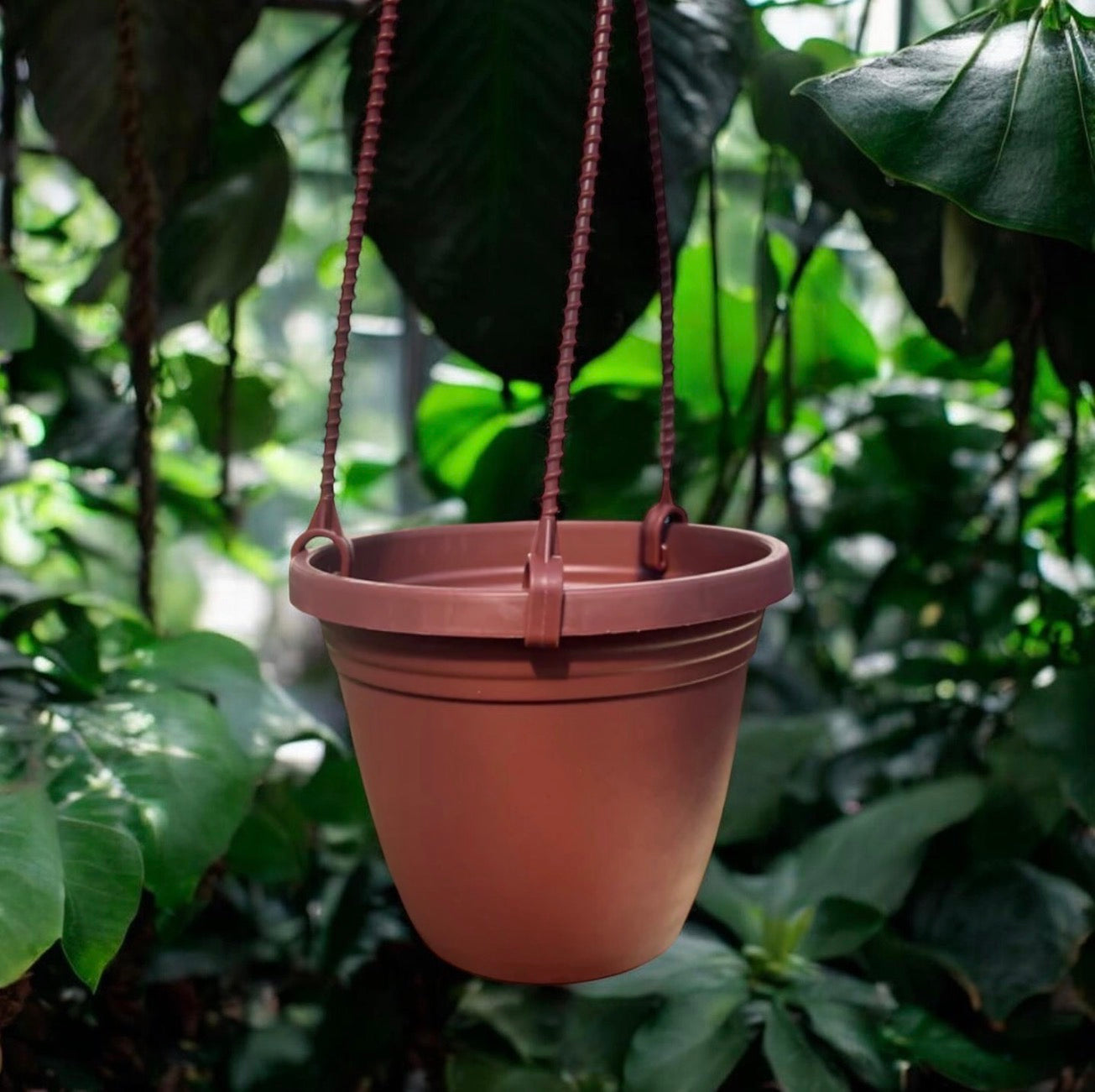 4” Mini Hanging Baskets - 12 Pack