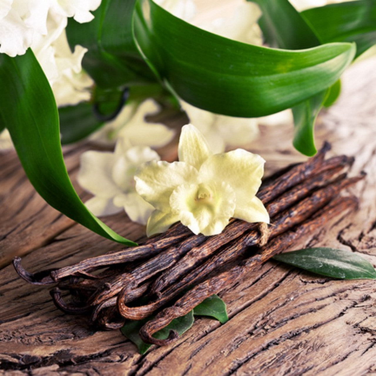 Wooden Wick Dough Bowl Candle